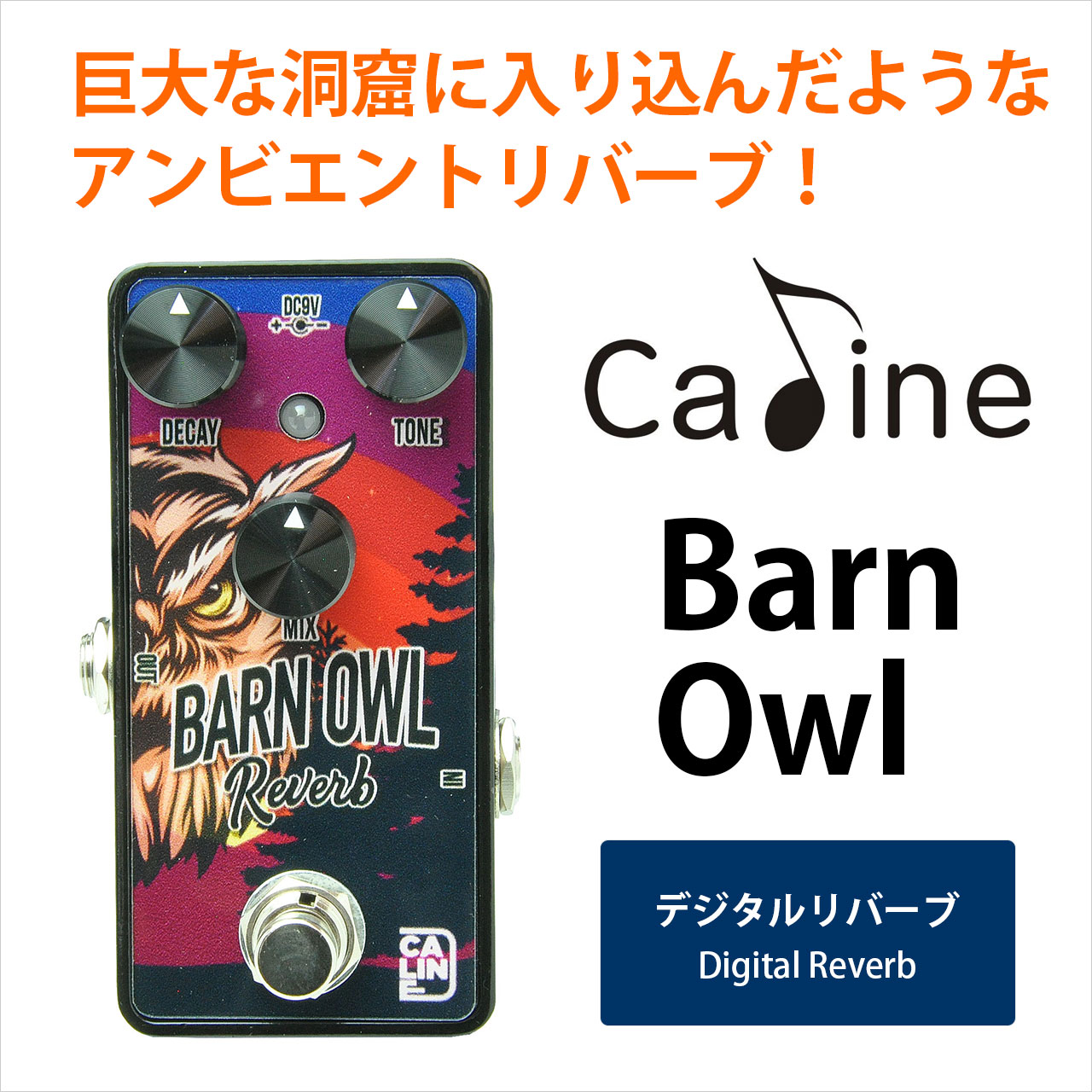Caline カリン / Barn Owl Digital Reverb G008【リバーブ】