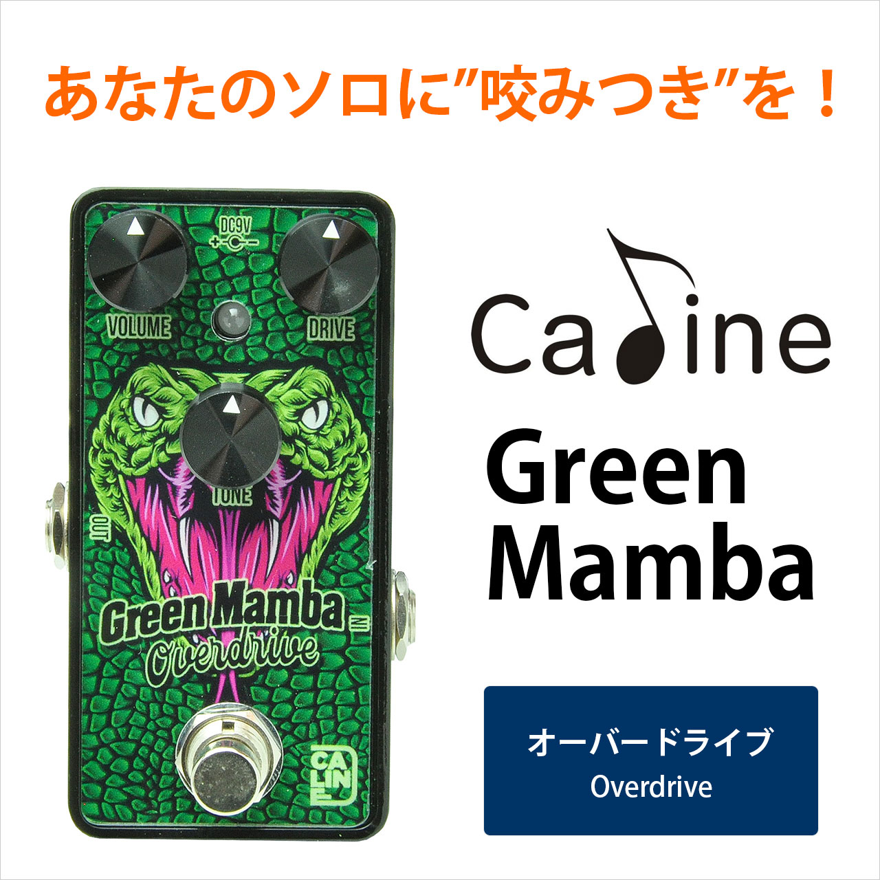 Caline カリン / G002 Green Mamba Overdrive【オーバードライブ】
