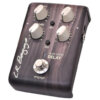 L.R.Baggs L.R.バッグズ / ALIGN Series Delay 【ディレイ】